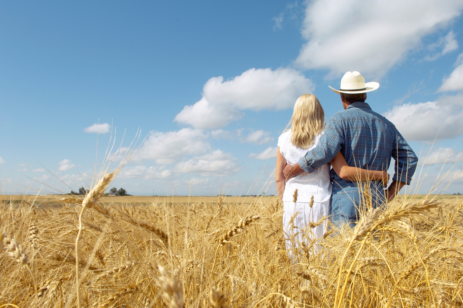 Мужчина и женщина на пшеничном поле